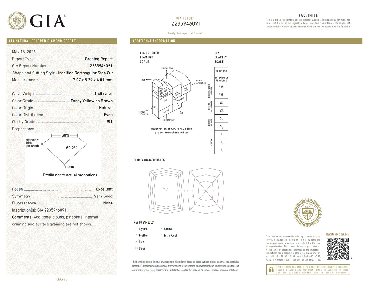 1.45ct | Champagne SI1 Octagonal Shape Step Cut Diamond (GIA) - Modern Rustic Diamond