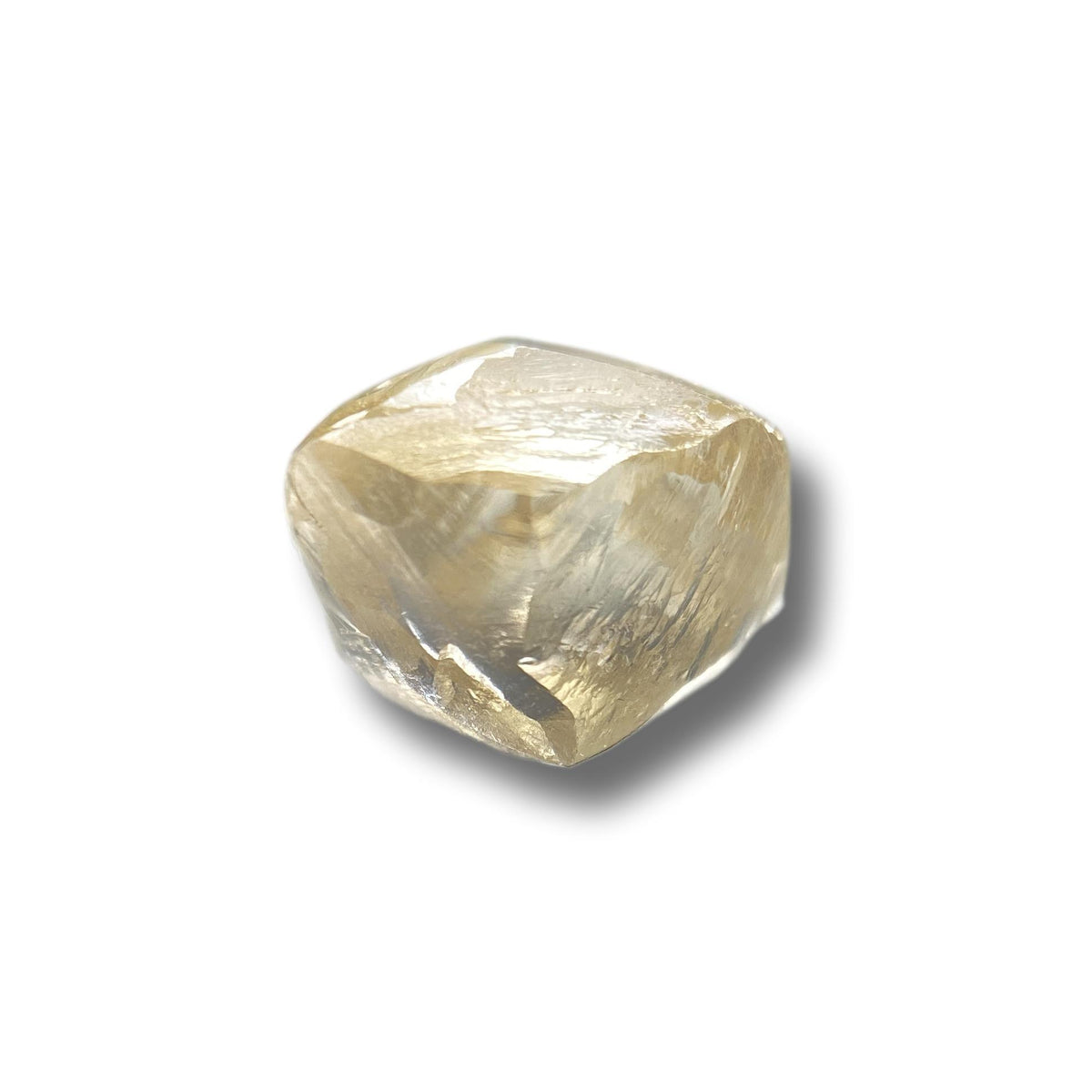 1.62ct | Champagne VS1 Cushion Shape Old Mine Cut Diamond (GIA) - Modern Rustic Diamond