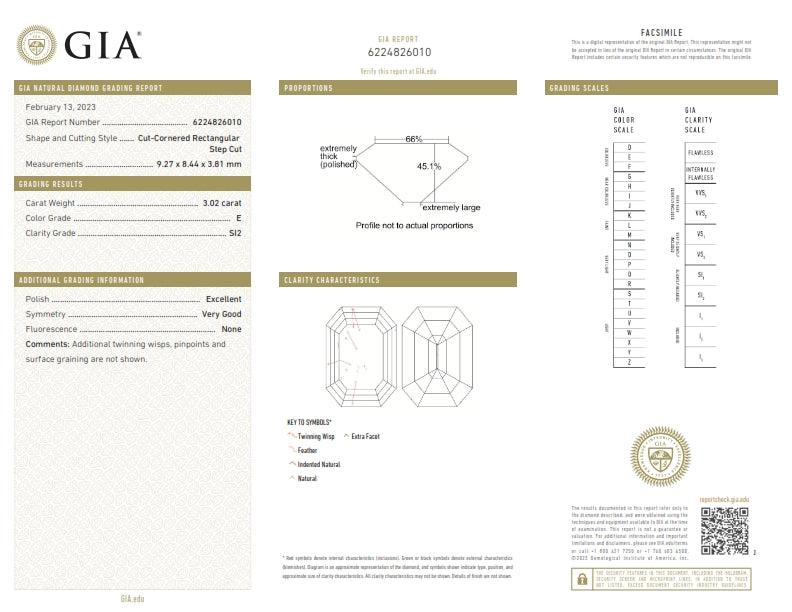 3.02ct | E/SI2 Octagonal Shape Step Cut Diamond (GIA) - Modern Rustic Diamond