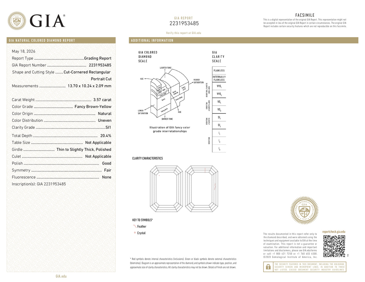 3.57ct | Champagne SI1 Emerald Shape Step Cut Diamond (GIA) - Modern Rustic Diamond