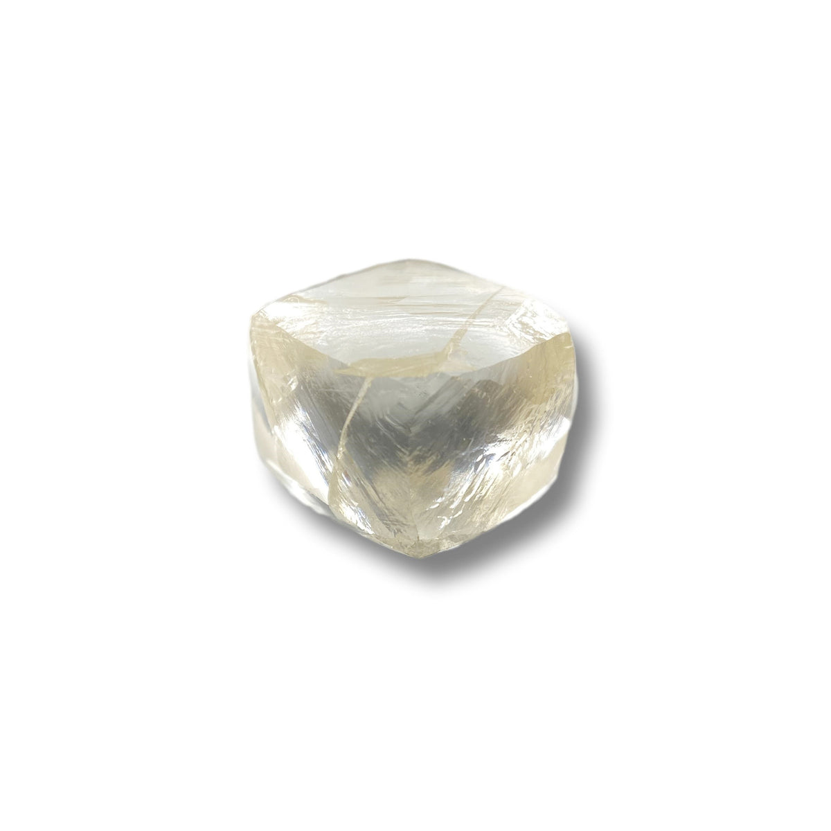 3.20ct | L/VS2 Round Shape Brilliant Cut Diamond (GIA) - Modern Rustic Diamond