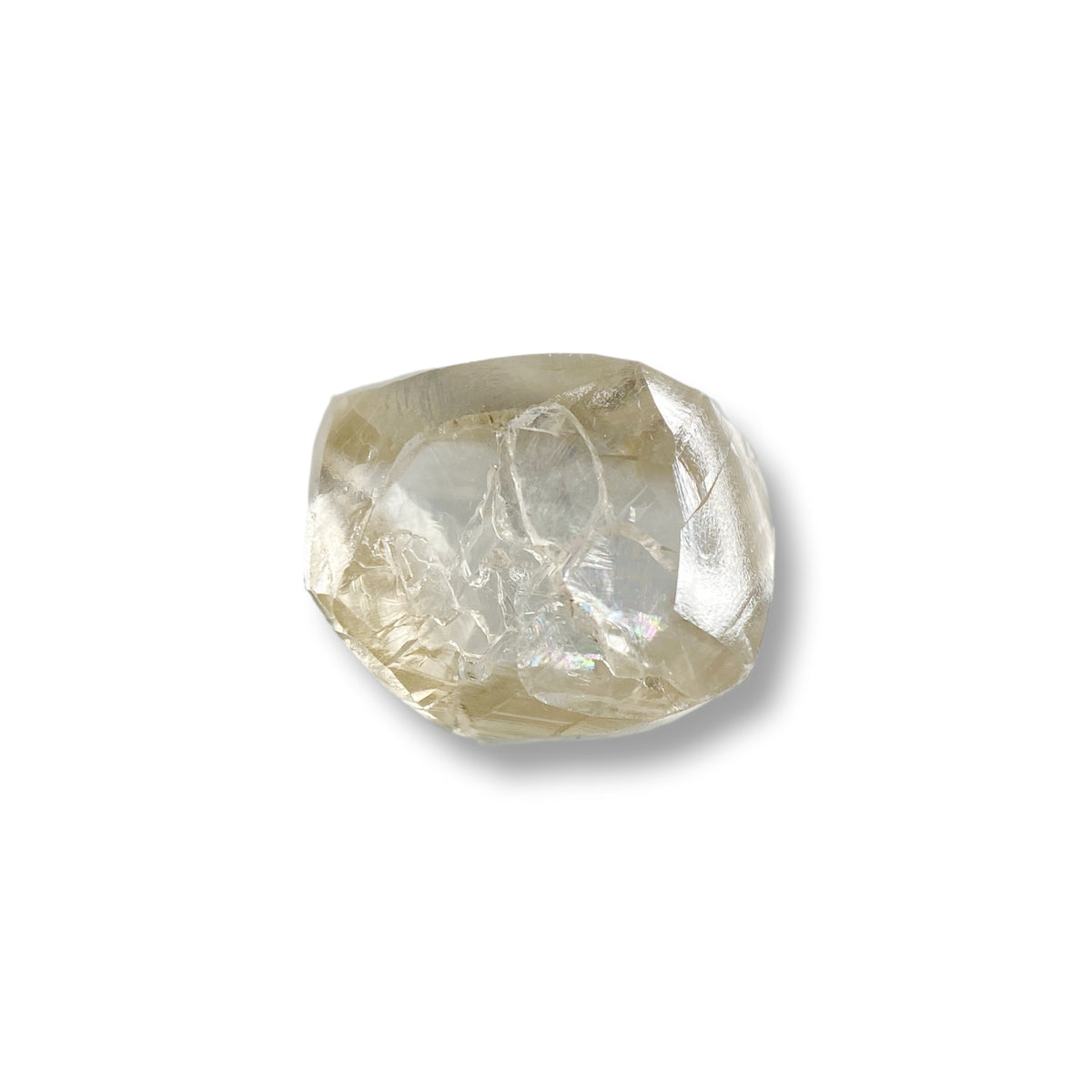 1.53ct | Champagne VS1 Octagonal Shape Step Cut Diamond (GIA) - Modern Rustic Diamond