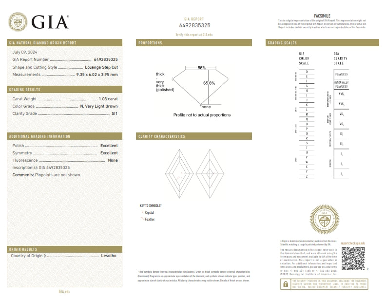 1.03ct | N/SI1 Lozenge Shape Step Cut Diamond (GIA) - Modern Rustic Diamond