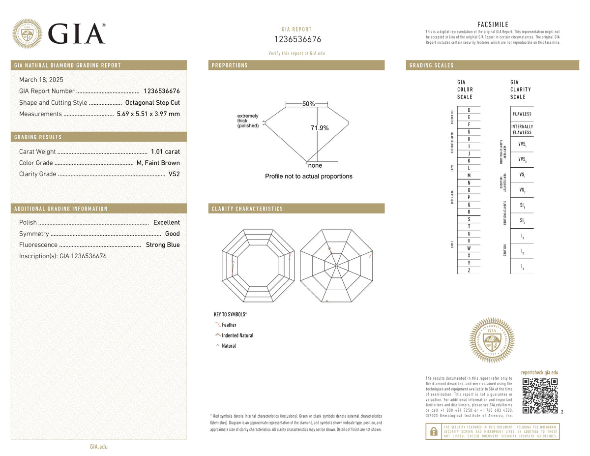 1.01ct | M/VS2 Octagonal Shape Step Cut Diamond (GIA) - Modern Rustic Diamond