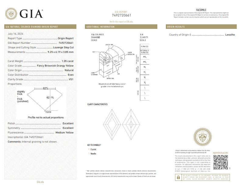 1.05ct | Yellow VS1 Lozenge Shape Step Cut Diamond (GIA) - Modern Rustic Diamond