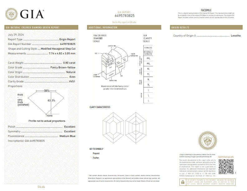 0.80ct | Champagne VVS1 Hexagon Shape Step Cut Diamond (GIA) - Modern Rustic Diamond