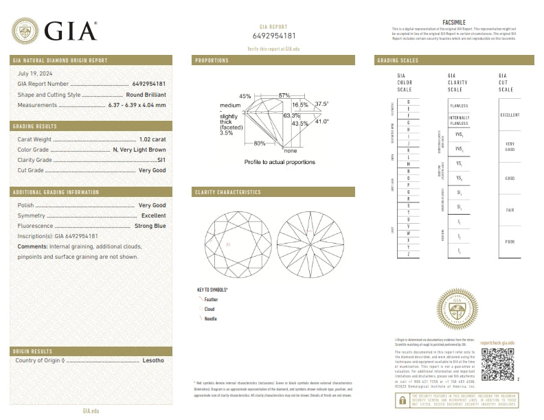 1.02ct | N/SI1 Round Shape Brilliant Cut Diamond (GIA) - Modern Rustic Diamond