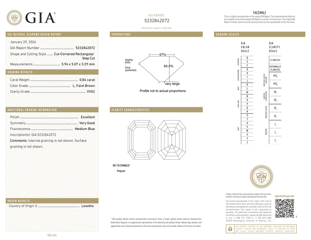 0.84ct | L/VVS2 Octagonal Shape Step Cut Diamond (GIA) - Modern Rustic Diamond