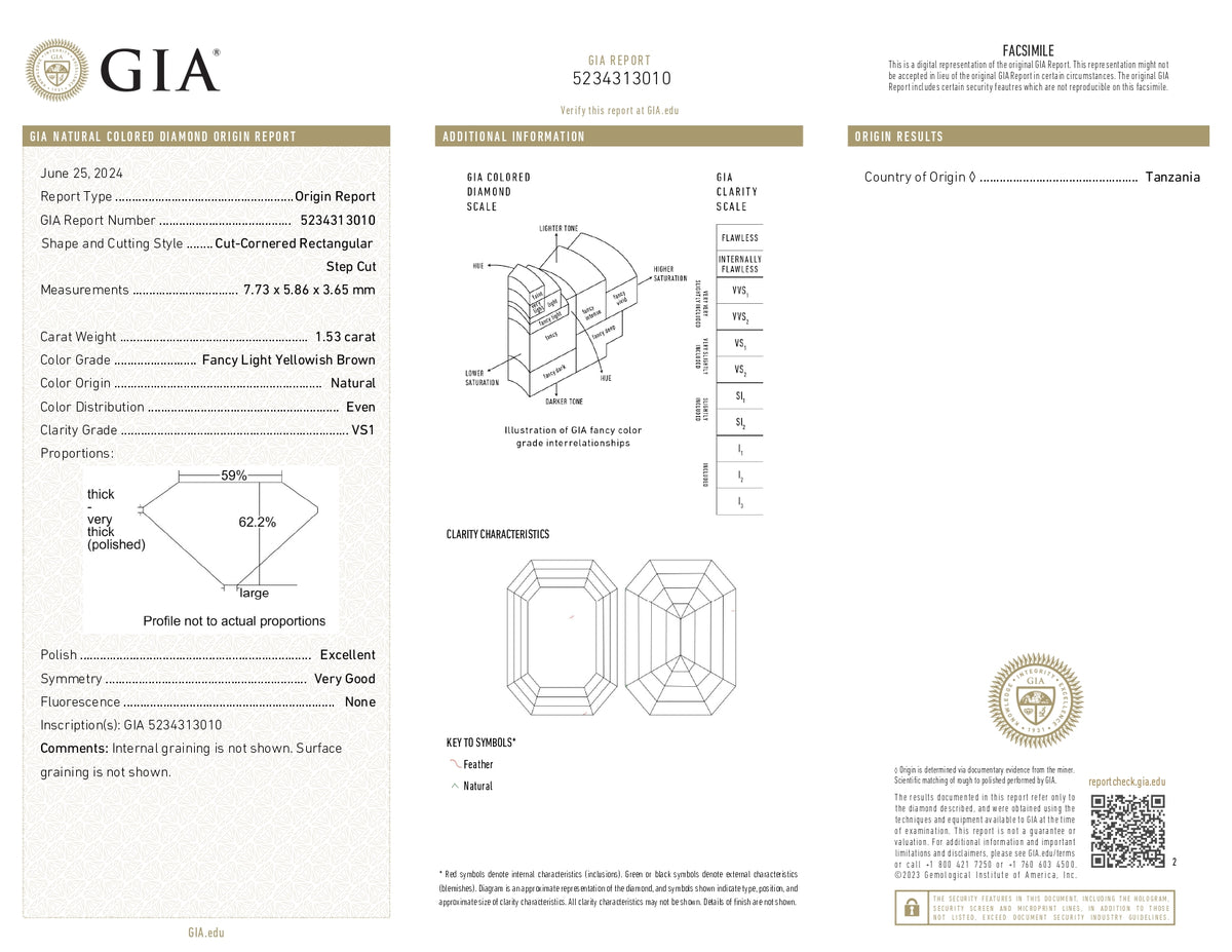 1.53ct | Champagne VS1 Octagonal Shape Step Cut Diamond (GIA) - Modern Rustic Diamond