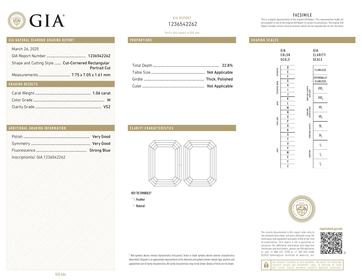 1.06ct | M/VS2 Octagonal Shape Portrait Cut Diamond (GIA) - Modern Rustic Diamond