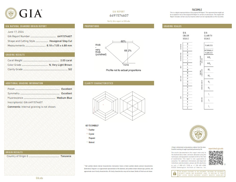 2.03ct | N/SI2 Hexagon Shape Step Cut Diamond (GIA) - Modern Rustic Diamond