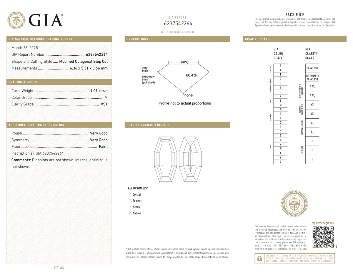 1.01ct | M/VS1 Octagonal Shape Step Cut Diamond (GIA) - Modern Rustic Diamond