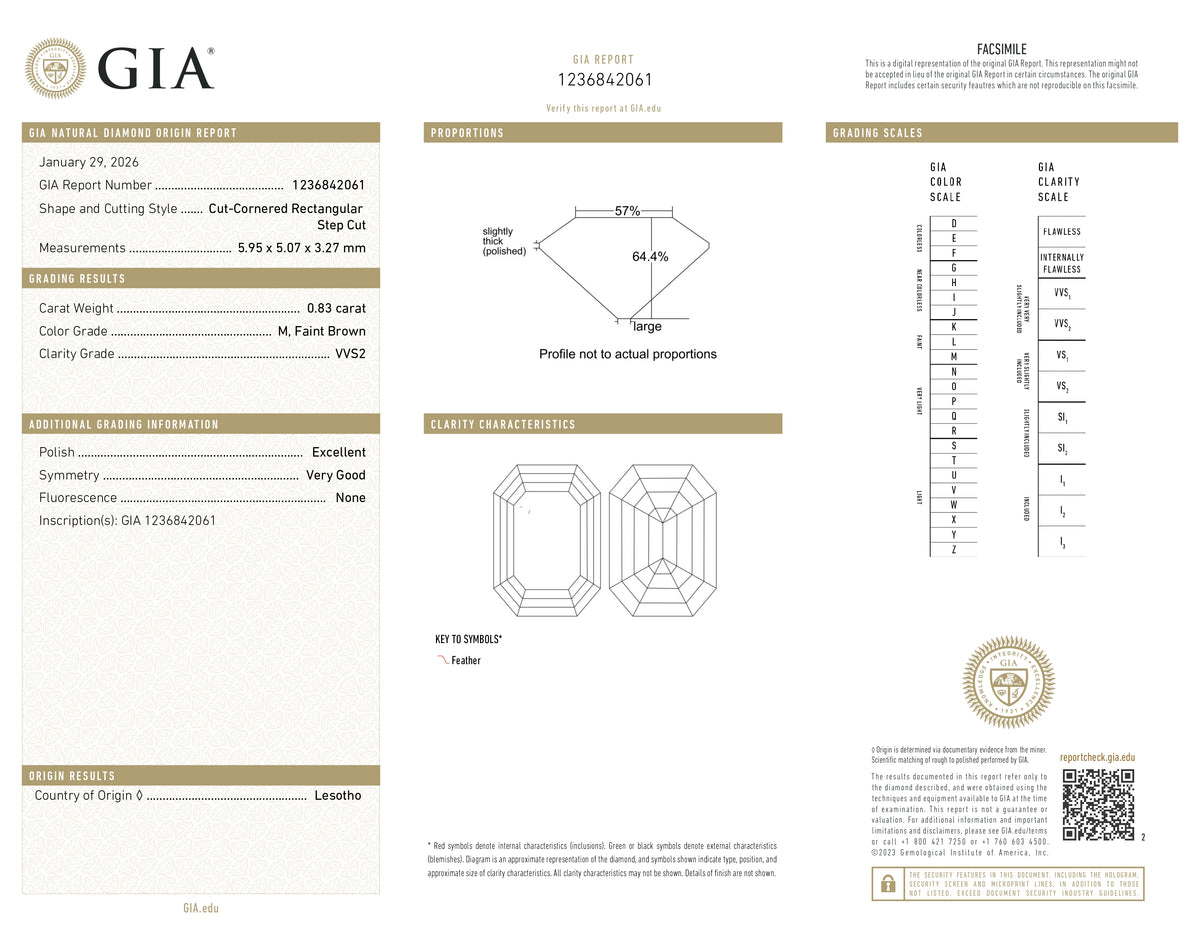 0.83ct | M/VVS2 Octagonal Shape Step Cut Diamond (GIA) - Modern Rustic Diamond