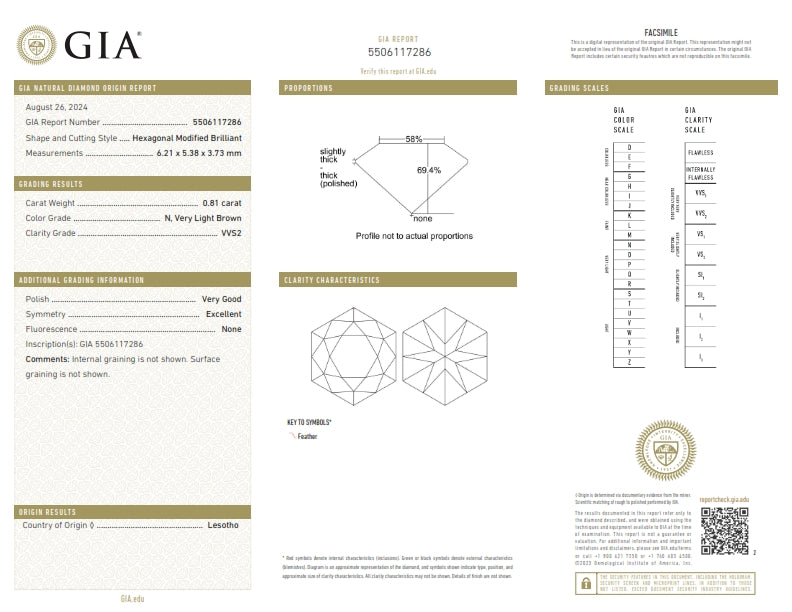 0.81ct | N/VVS2 Hexagon Shape Brilliant Cut Diamond (GIA) - Modern Rustic Diamond