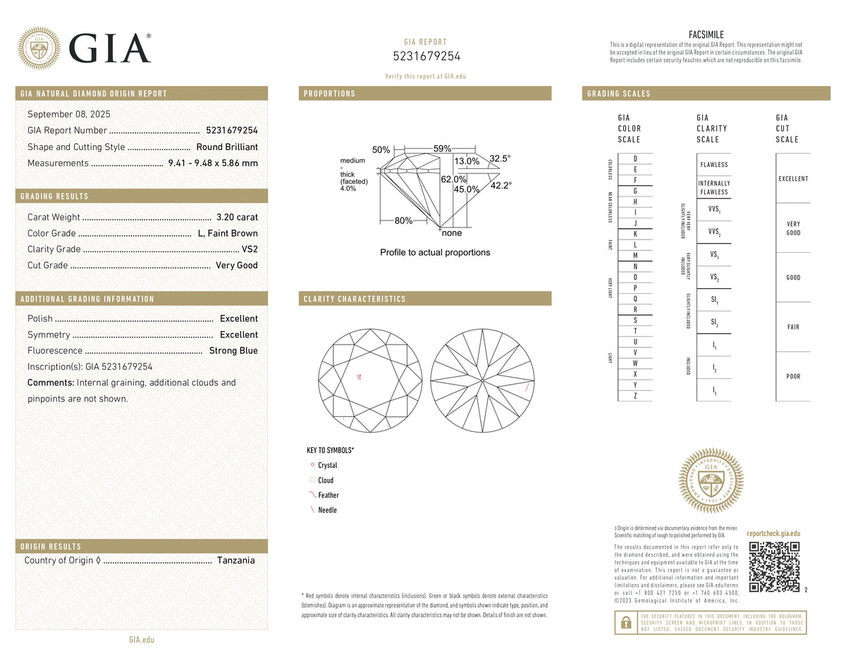 3.20ct | L/VS2 Round Shape Brilliant Cut Diamond (GIA) - Modern Rustic Diamond
