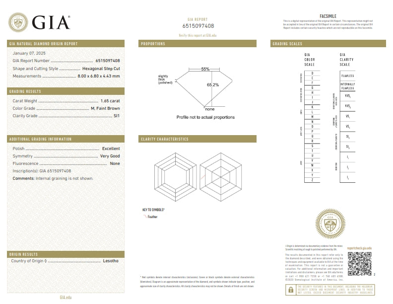 1.65ct | M/SI1 Hexagon Shape Step Cut Diamond (GIA) - Modern Rustic Diamond
