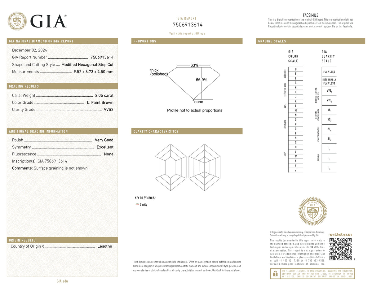 2.05ct | L/VVS2 Hexagon Shape Step Cut Diamond (GIA) - Modern Rustic Diamond