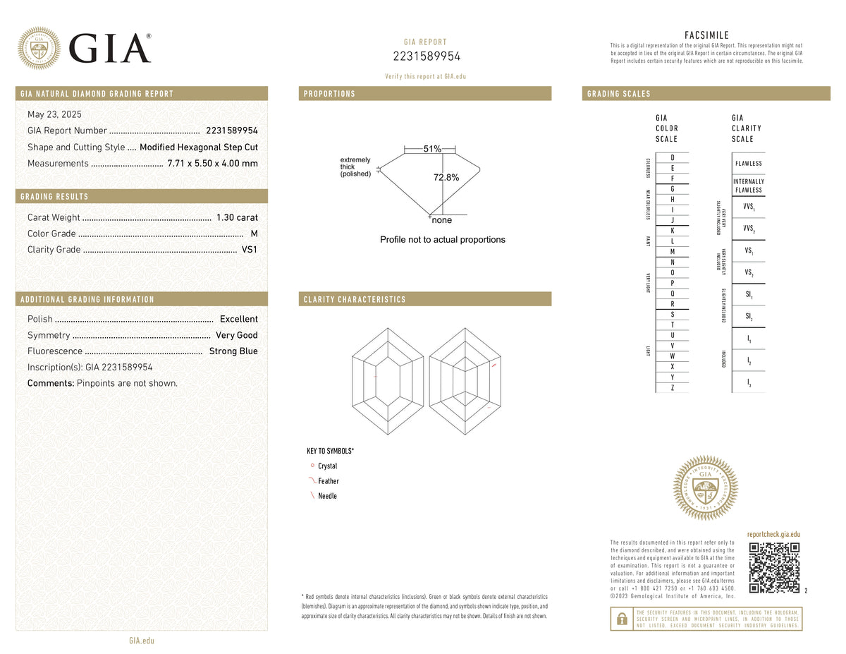 1.30ct | M/VS1 Hexagon Shape Step Cut Diamond (GIA) - Modern Rustic Diamond