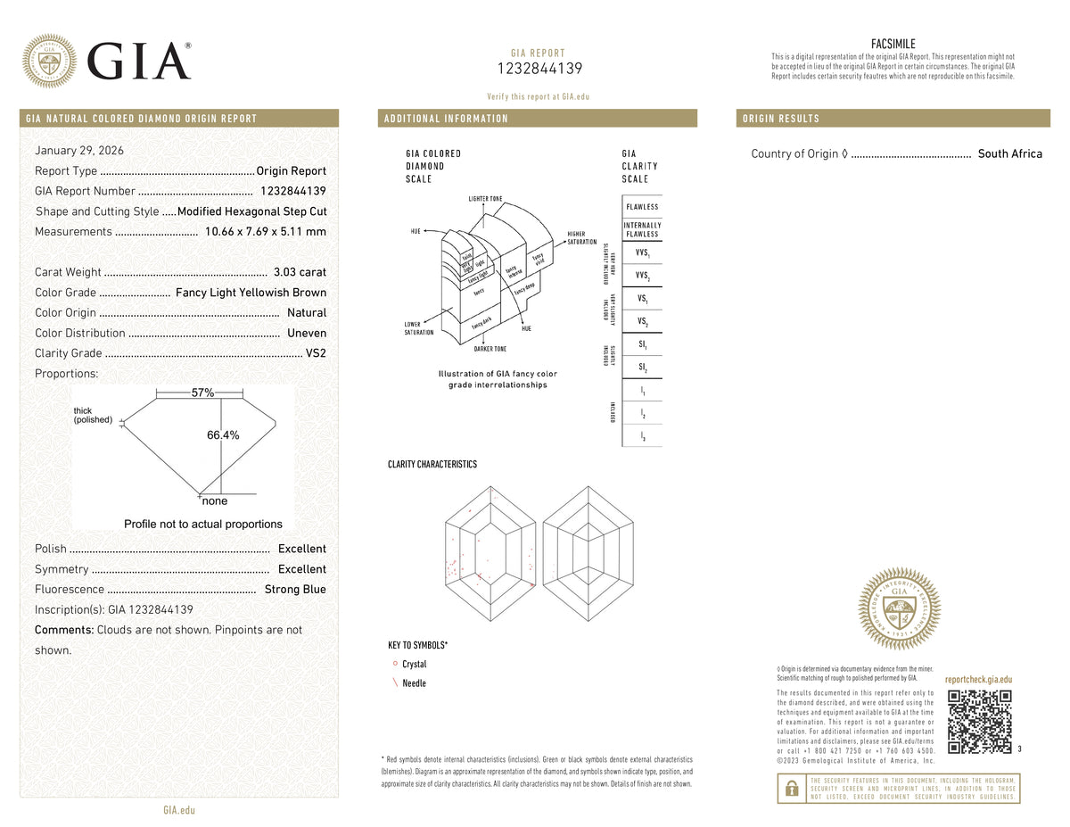 3.03ct | Champagne VS2 Hexagon Shape Step Cut Diamond (GIA) - Modern Rustic Diamond