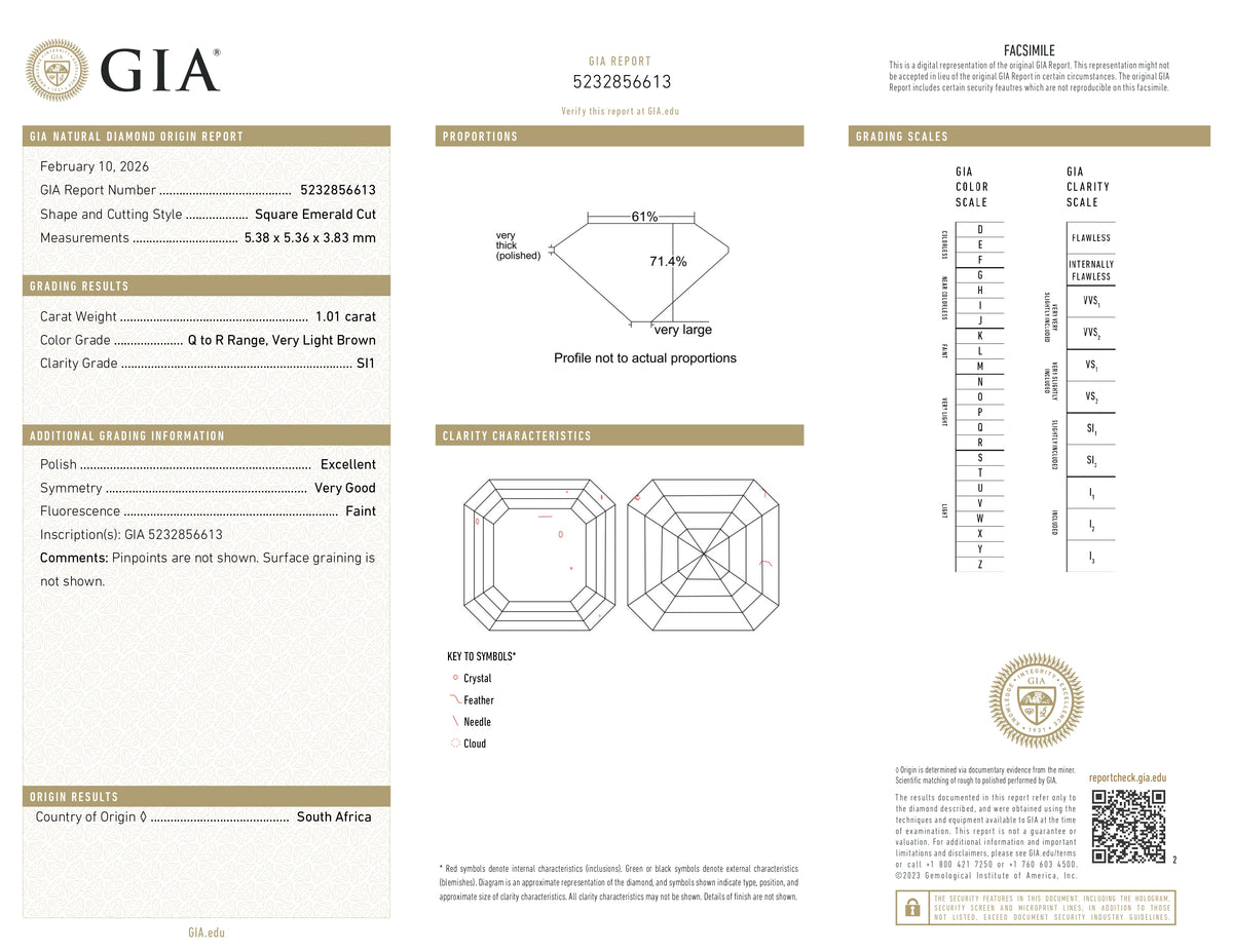 1.01ct | Q-R/SI1 Octagonal Shape Step Cut Diamond (GIA) - Modern Rustic Diamond