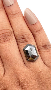 4.70ct | Rustic Hexagon Shape Rose Cut Diamond - Modern Rustic Diamond